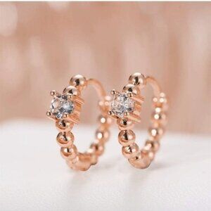 Rose Gold Earring 5 Set